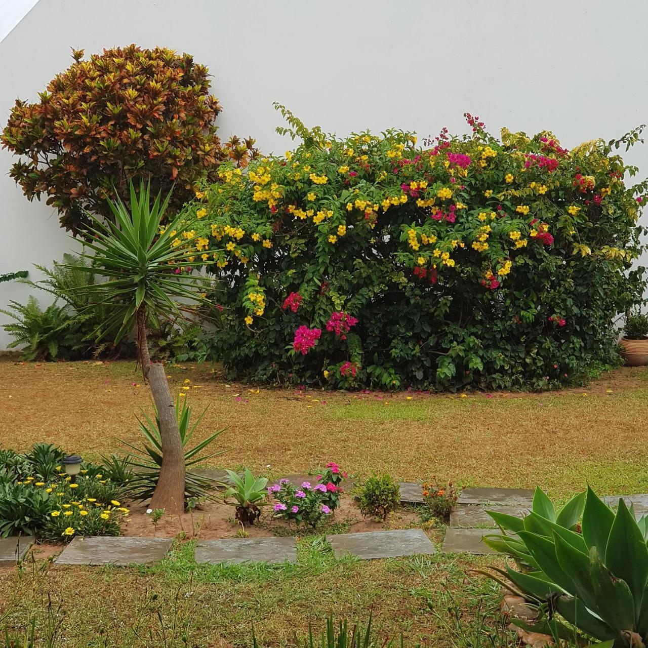Ap208-cond. Idp-ingleses -2qto Apartamento *